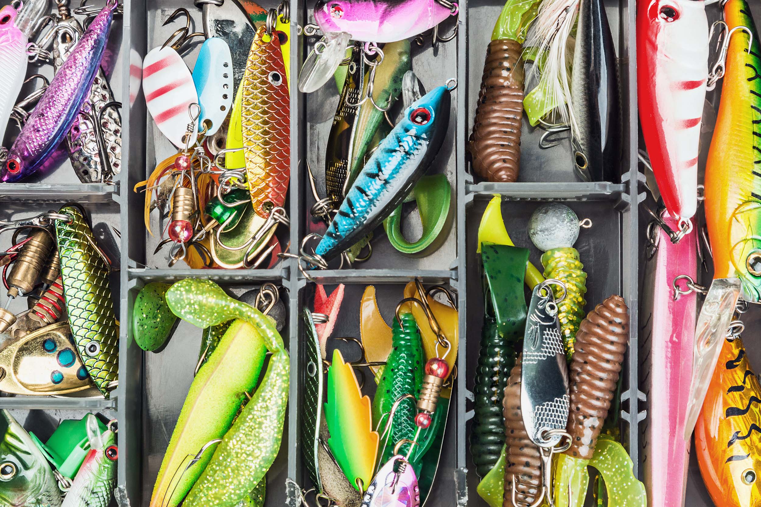 Full-Day Studio Photography